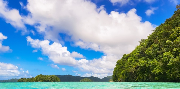 Tropical waters, Palau
